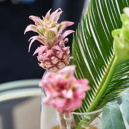 Hotel Monopol - Station Frankfurt am Main