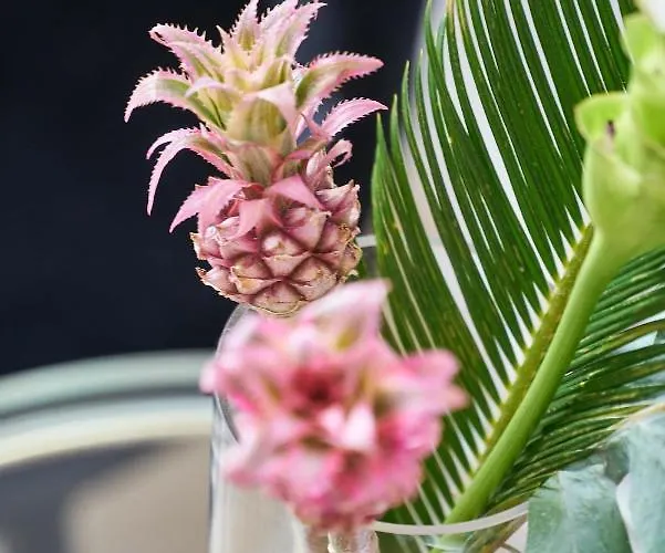 מלון Monopol - Station פרנקפורט